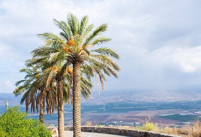 רשת מלונות מטיילים