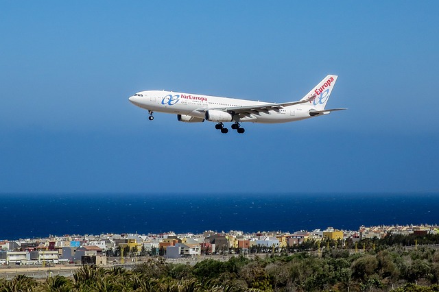 החברות שיחזרו לישראל בזמן הקרוב ומה קרה עם ביז