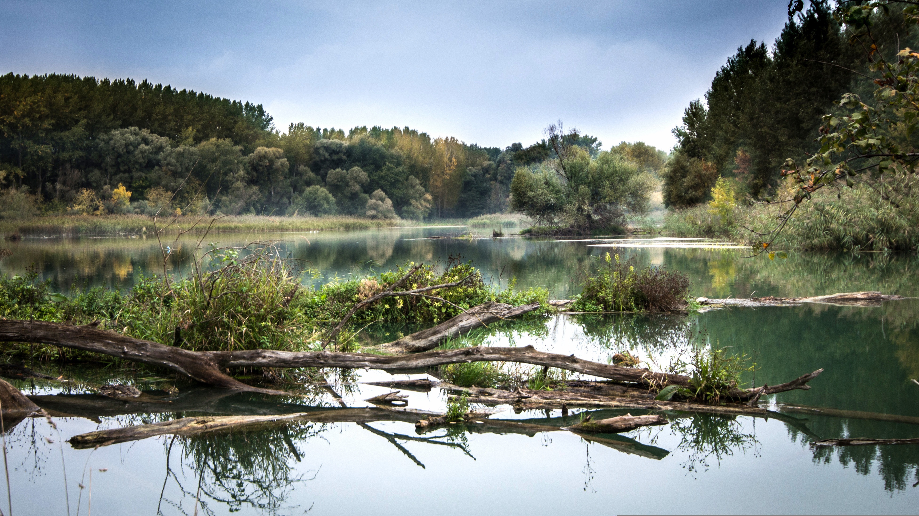 Green natural landscape in the North