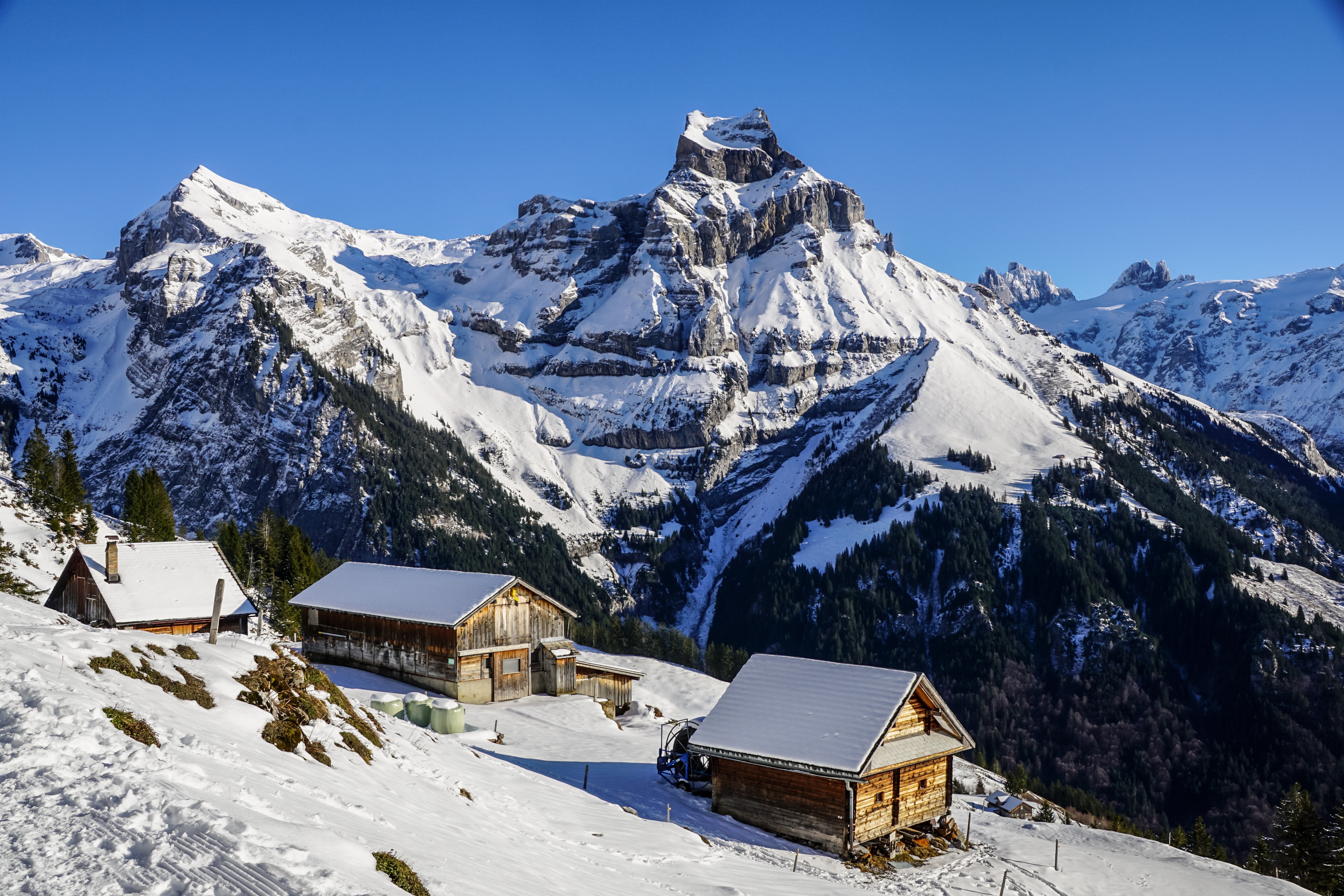 Snowy Winter Landscape